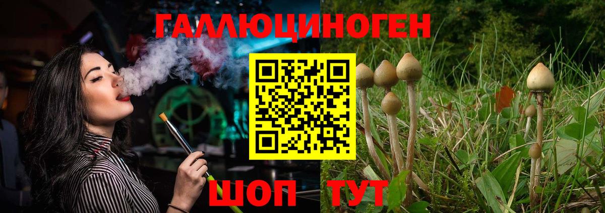 Псилоцибиновые грибы GOLDEN TEACHER Ипатово