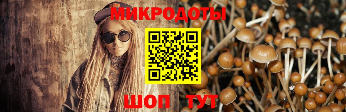 Псилоцибиновые грибы мухоморы  Вход с VPN  Ипатово 